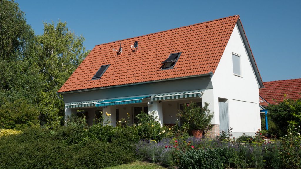 synus mogyoro barna referencia