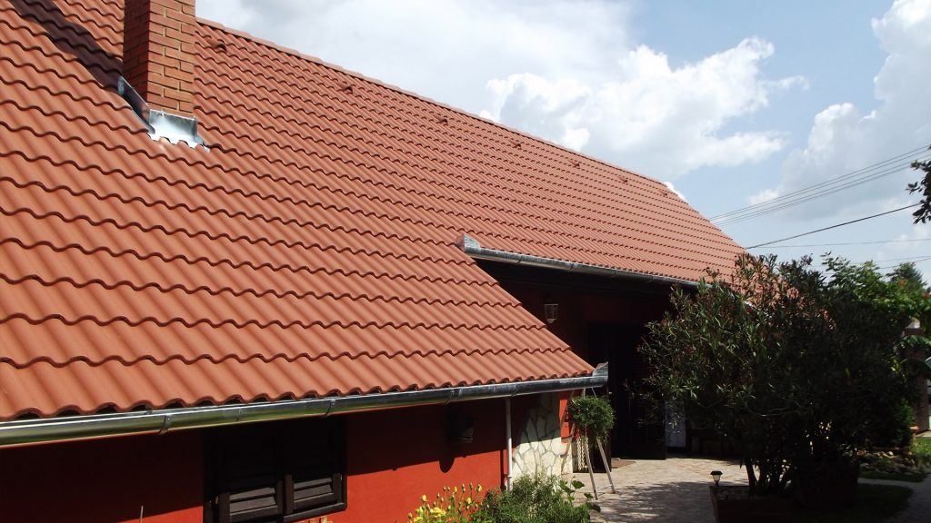 synus mogyoro barna referencia