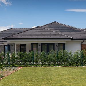 Zenit Carbon+Generon DARK