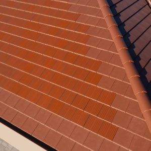 Zenit Mars+ Generon RED